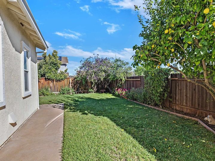 1920 Fairview Ave, Brentwood, CA | Brentwood. Photo 43 of 49
