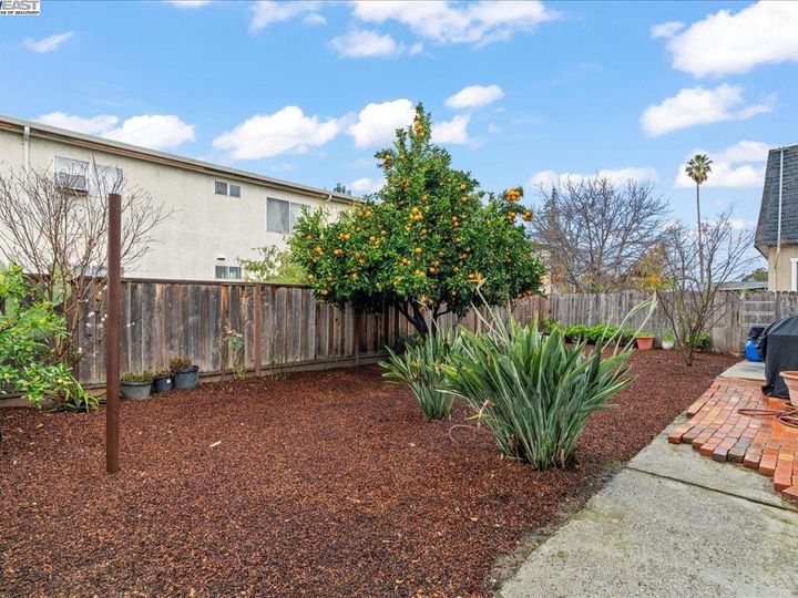 225 4th Ave, Redwood City, CA | . Photo 28 of 39