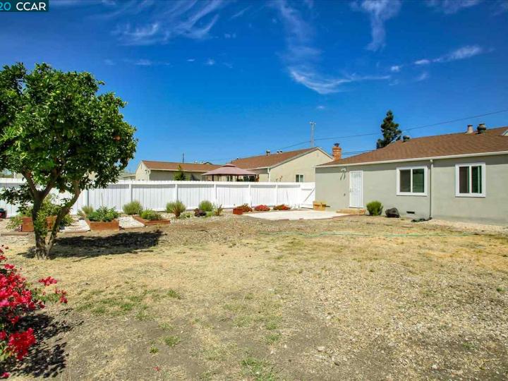 2317 Vegas Ave, Castro Valley, CA | Bay Wood. Photo 29 of 31
