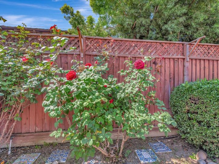 3369 New Jersey Ave, San Jose, CA | . Photo 47 of 48