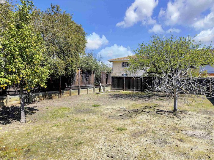 38860 Cherry Ln, Fremont, CA | Orchard. Photo 47 of 52