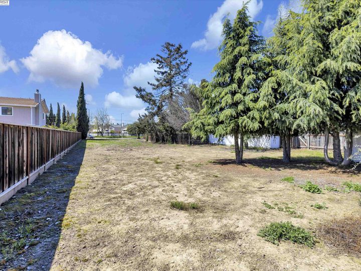 38860 Cherry Ln, Fremont, CA | Orchard. Photo 51 of 52