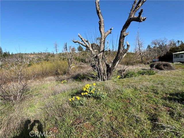 4279 Big Bend Rd Oroville CA. Photo 10 of 26