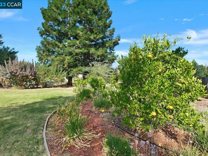 4774 Myrtle Dr, Concord, CA | Ayers Ranch. Photo 49 of 60
