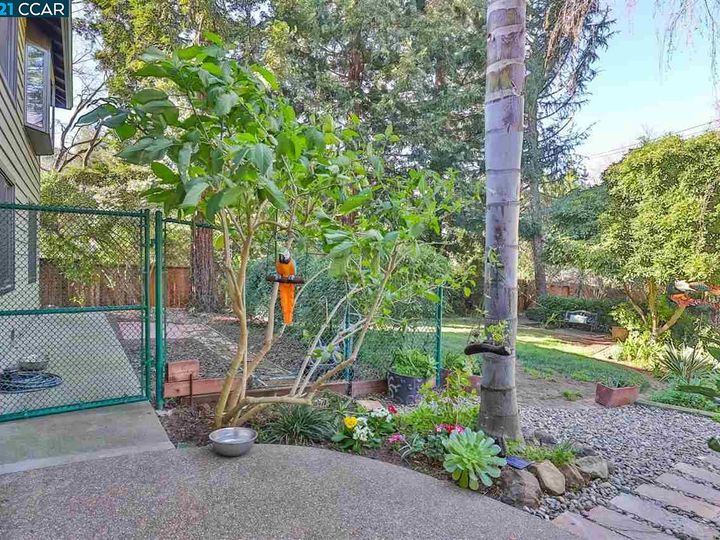 5297 Pine Hollow Rd, Concord, CA | Pine Hollow. Photo 33 of 38