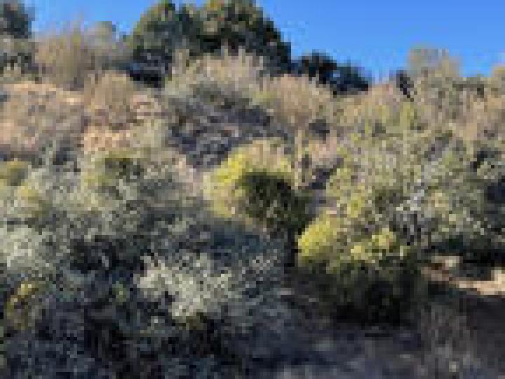 650 S Canyon Dr, Prescott, AZ | Home Lots & Homes. Photo 3 of 11
