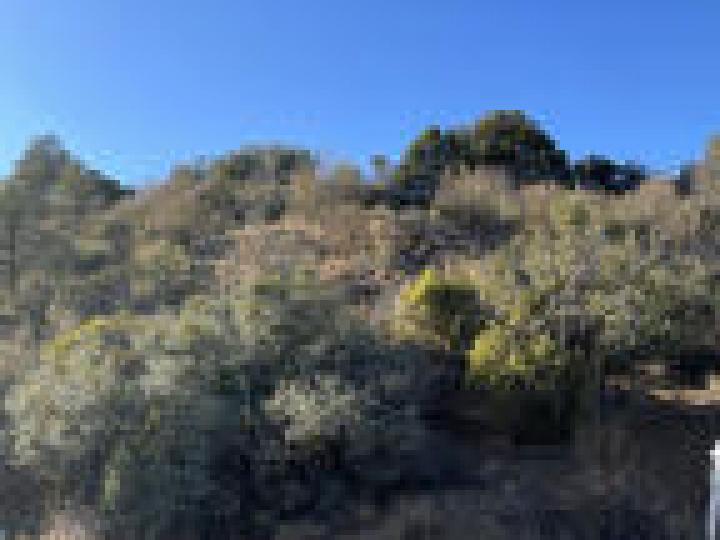 650 S Canyon Dr, Prescott, AZ | Home Lots & Homes. Photo 9 of 11