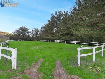 12000 Cull Canyon Rd, Castro Valley, CA | Castro Valley. Photo 4 of 40