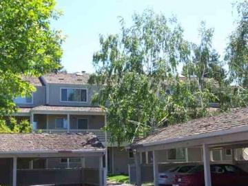 2709 Oak Rd unit #R, Oak Road Villas, CA