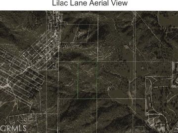 Lilac Ln, Los Angeles, CA